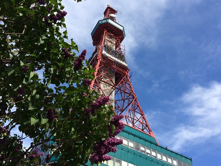 さっぽろテレビ塔～定番観光スポット