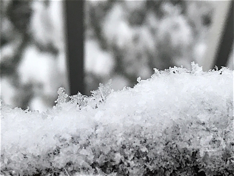 札幌の2016年12月はドカ雪！今冬の積雪はすごすぎる！？